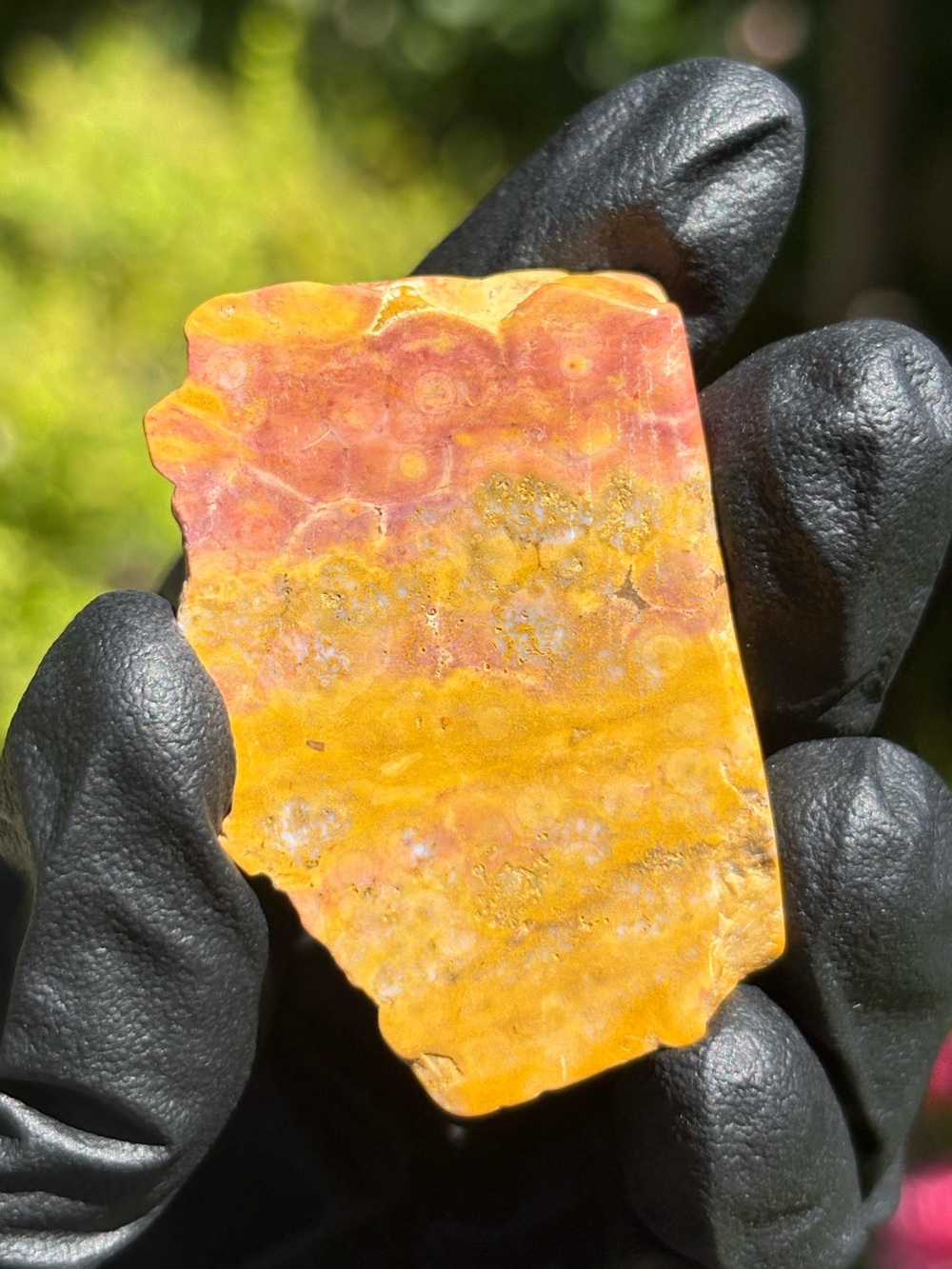Small Ocean Jasper Crystal Slab - Polished Sea Jasper